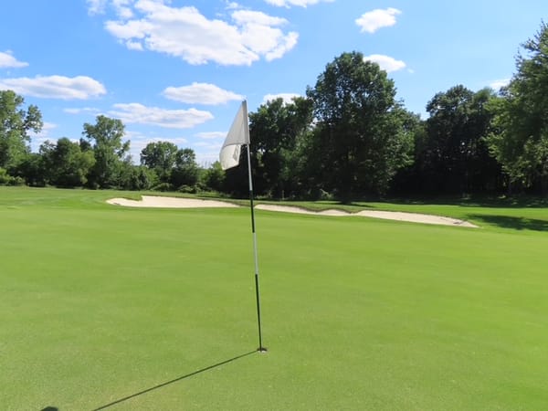 A putting green with the flagstick in, backed by a run of sand bunkers and a wall of woods